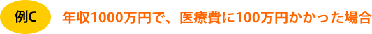 年収1000万円で、医療費に100万円かかった場合